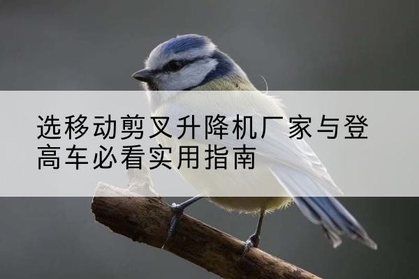 甘南电动升降机厂家-选移动剪叉升降机厂家与登高车必看实用指南