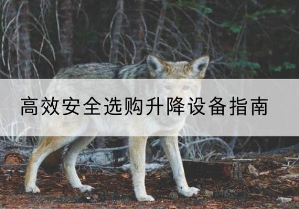 甘南升降货梯厂家推荐-*安全选购升降设备指南