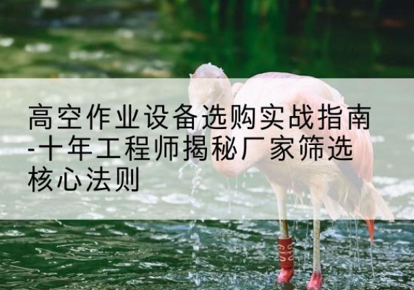 甘南剪叉式升降机厂家-高空作业设备选购实战指南-十年工程师揭秘厂家筛选核心法则