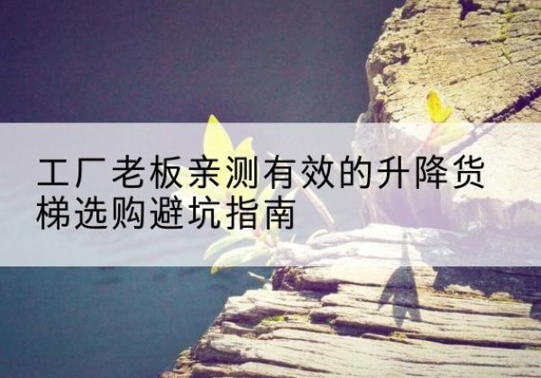 甘南升降货梯怎么选-工厂老板亲测有效的升降货梯选购避坑指南